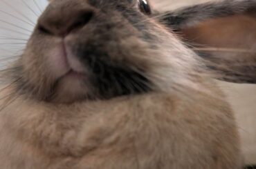 why hello there