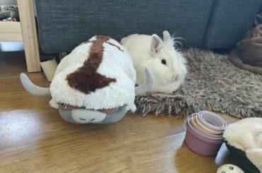 Appa is her favorite plushie