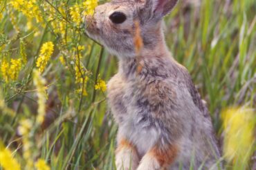 OC film photo by my late father, Badlands mid 90’s