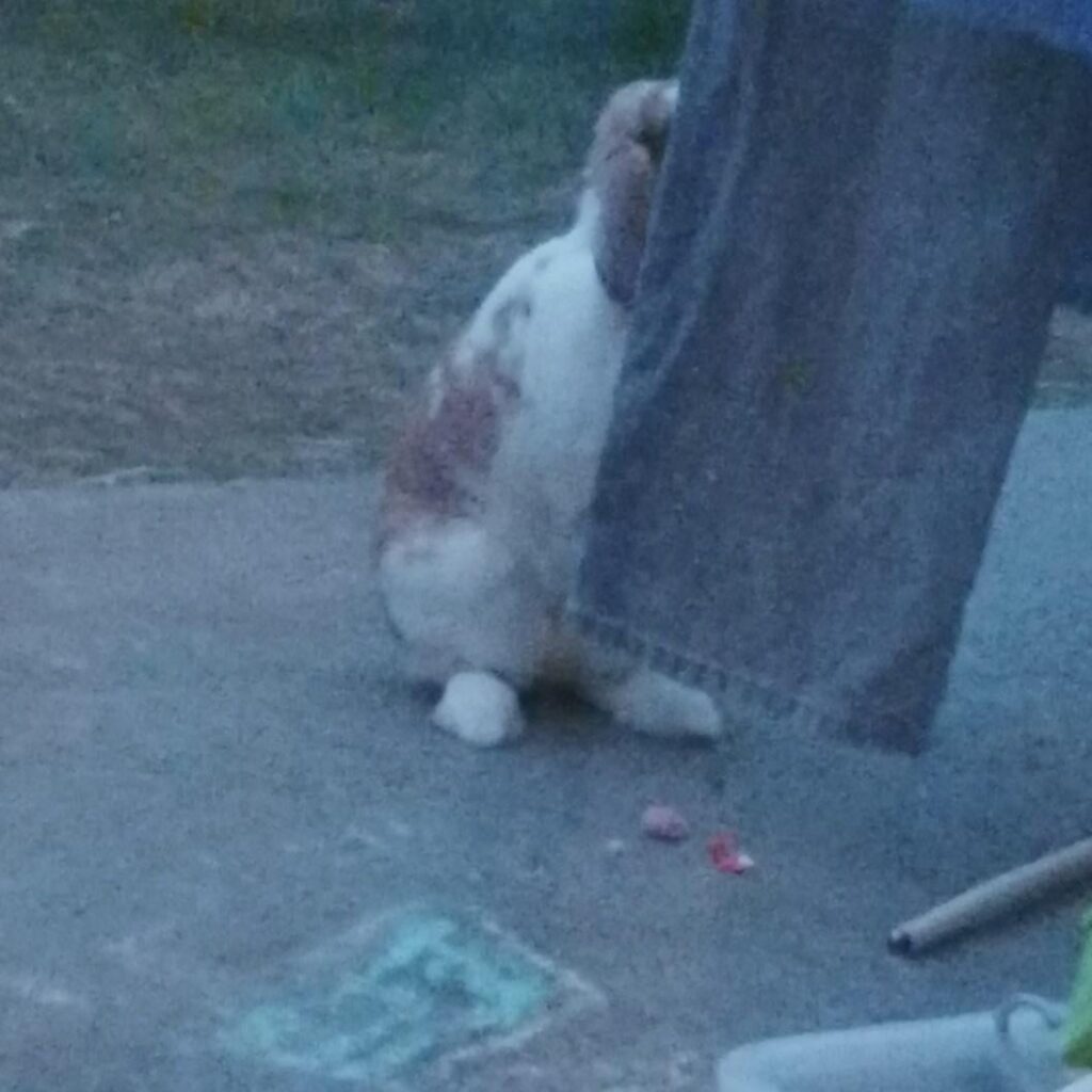 he thought i couldn’t see him