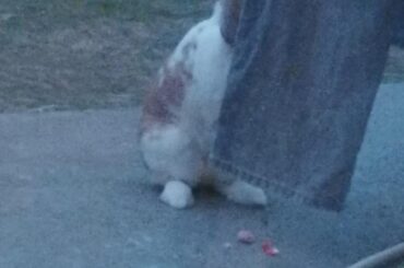 he thought i couldn't see him