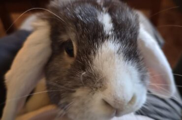 I'm in pain and Ture knows exactly what to do!