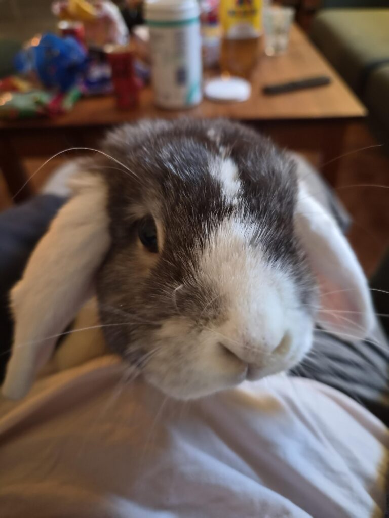 I’m in pain and Ture knows exactly what to do!