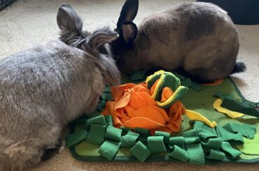 Nearly 2 years in and they’re finally bonded