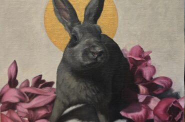 I need bunny pictures!