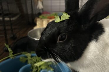 Wearing his food 😂