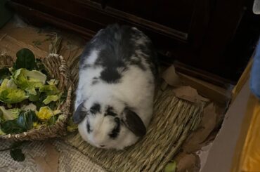 My whole world was taken from me, my baby boy has passed