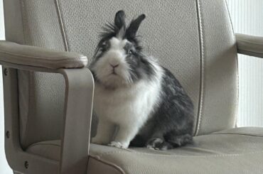 Are there some foods your bunny “should” like but they don’t?