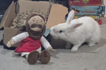 Happy Easter - Who are You?