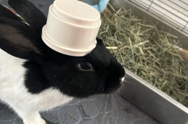 Hanni Wanted to Show Yall His Stacking Cup Hat ❤️❤️