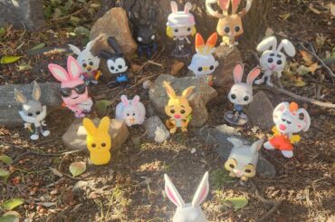 I saw some rabbits in my backyard this morning...