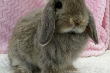 What I should I name her?
