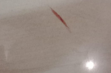 Bunny Bleeding