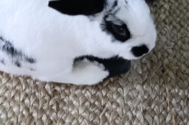 "This is my foot, go get your own"
