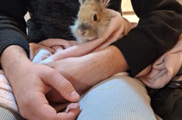 it's hard being a bun dad!!!