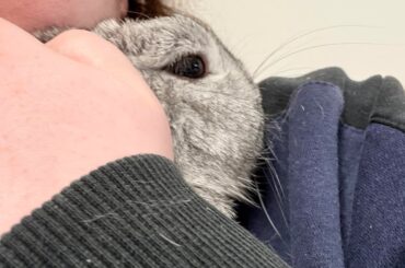 Peed on and demanding love