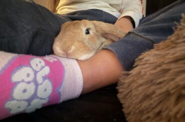 Friday night snuggles 🥰