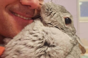 Happy Easter from all of us and this real life Easter Bunny Miss Maggie🥰