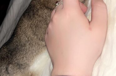 My safe little baby 🥹