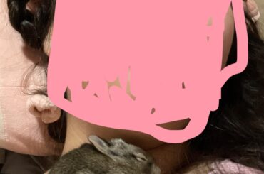 I think my rabbit is catholic or just trying to break my concentration