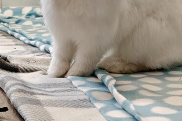 I got horrible news this weekend...