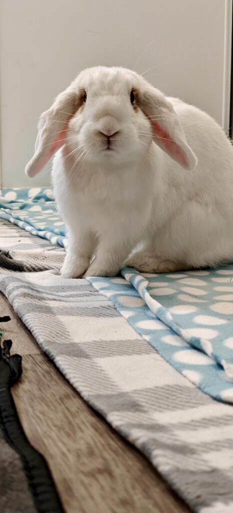 I got horrible news this weekend…