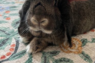 Maize says good morning ☀️