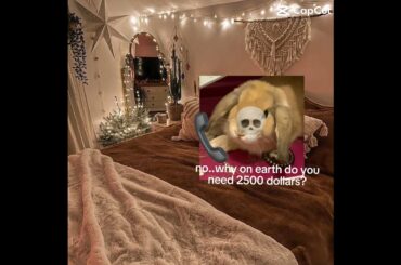 2500 dollar escape room  #bunny #rabbit #memes  #cute #mybunny #adorable #pets #funny