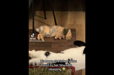 Lady sleep vs guy sleep