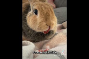 Strawberry lipstick
