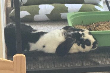 He slept like this for so long