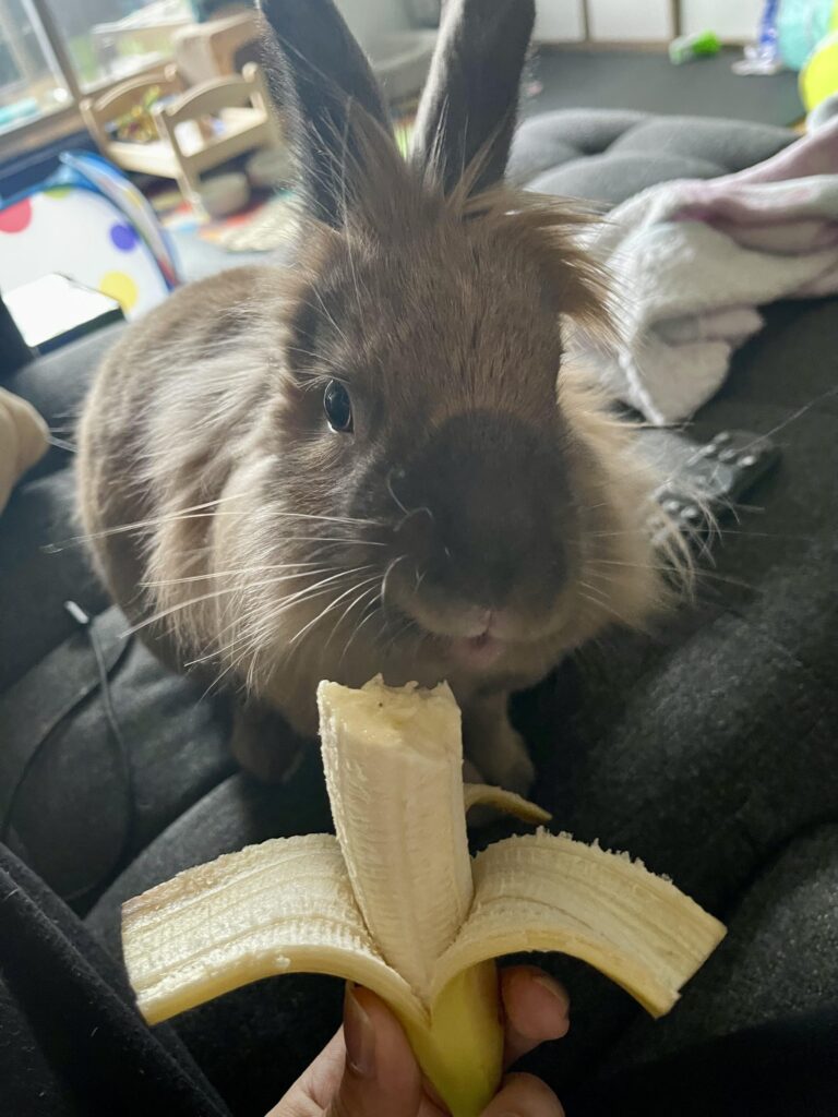 I will never eat another banana in peace again