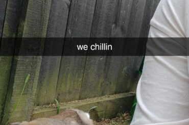 we chillin
