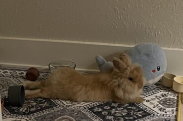 awww so cute, sooo cute