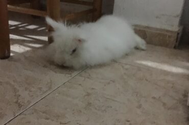 my loverrrrrr- he is sleeping