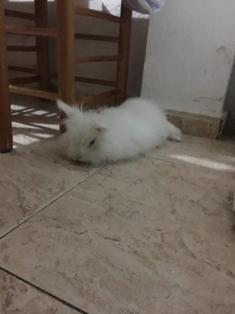my loverrrrrr- he is sleeping