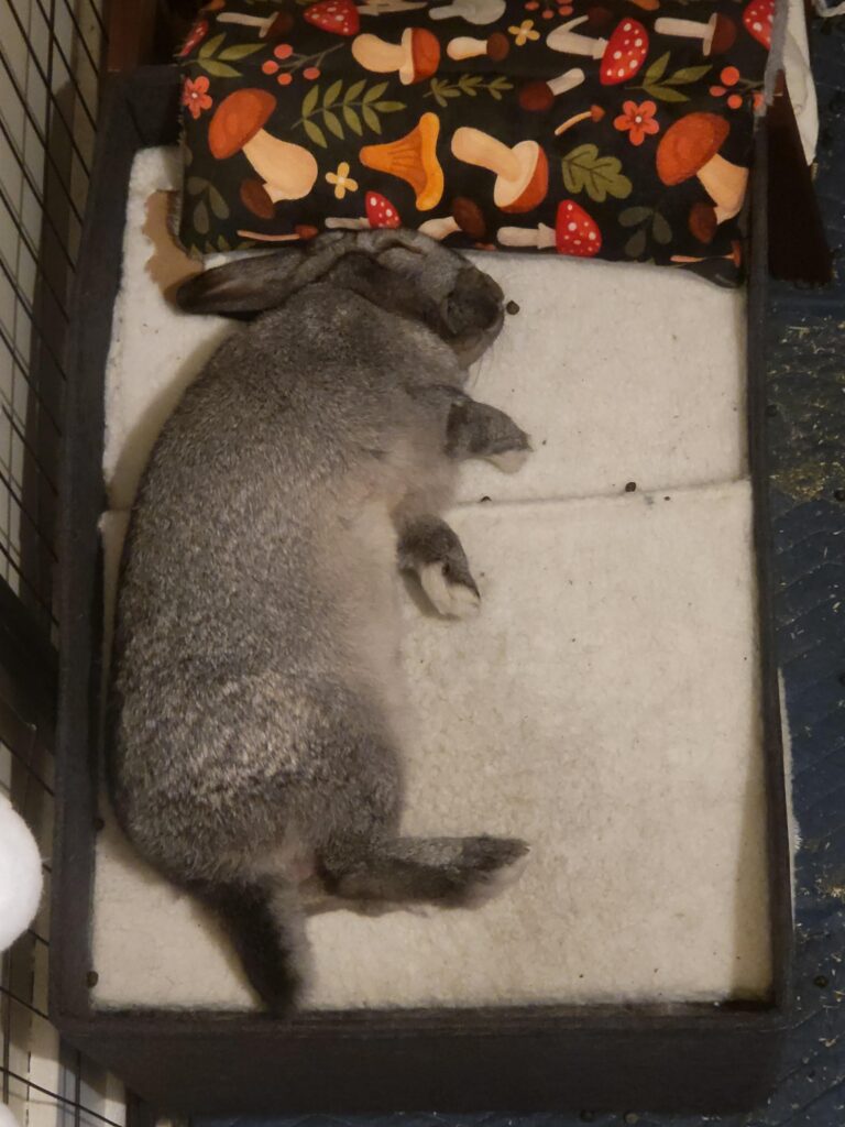 Omg 😭