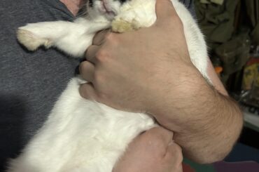 The face of somebun who chewed on collectables (will do it again)