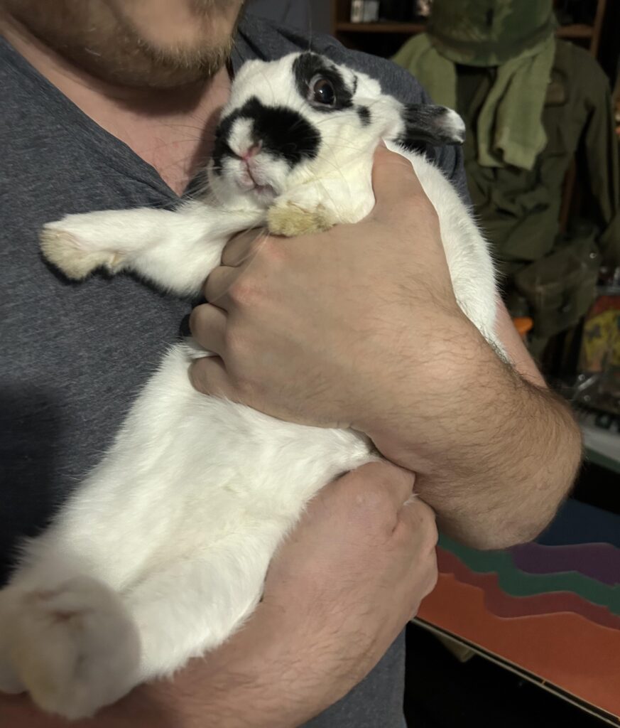 The face of somebun who chewed on collectables (will do it again)