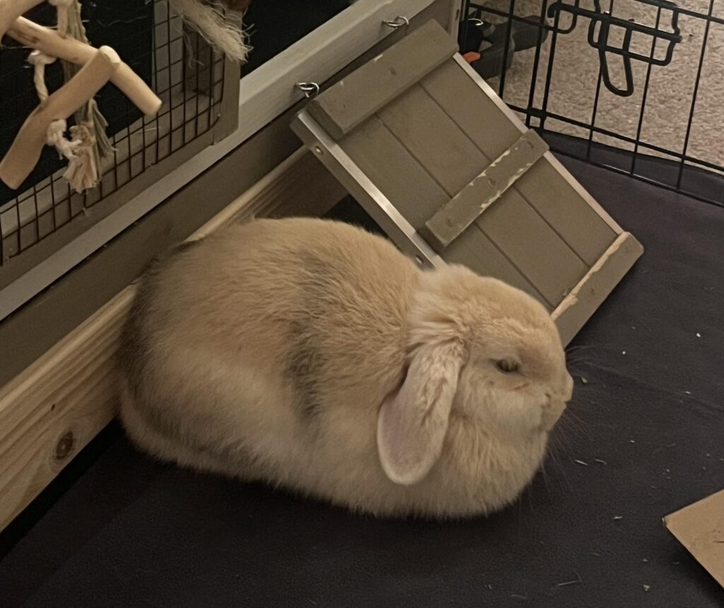 loaf final boss