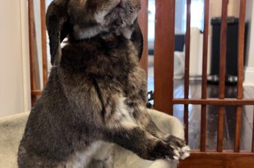 You got any more of them snacks, my good sir?