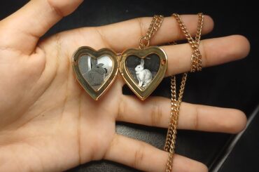 I put my bunnys Zeppeli (my first bunny that passed away) and Ramona on my locket pendant