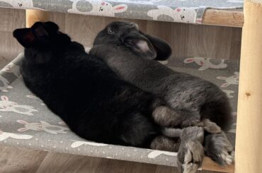 Interlocked
