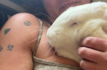 Buddy Bun hadn’t seen me for 3 days. I think he missed me. Lola Bun thumped her foot at me 6 times, but less than usual so maybe she missed me too.