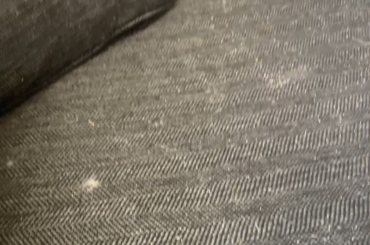 8am and he’s exhausted.