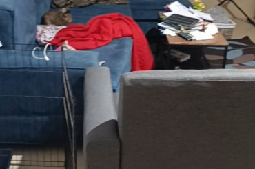 Nopne loves couches more than my son which i birthed btw