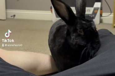 Oh, hi!