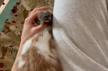 My snugglebunny :)
