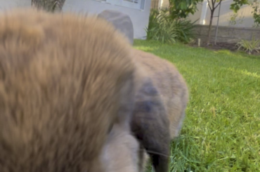 Busy bun