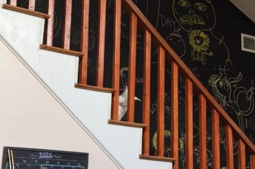 Do you ever get the feeling that you’re being watched?